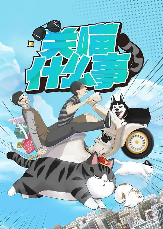 《关喵什么事》：一部关于爱与成长的治愈系萌宠电影，让你笑中带泪，重新审视人与动物的情感羁绊